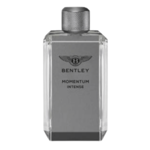 bentley momentum intense
