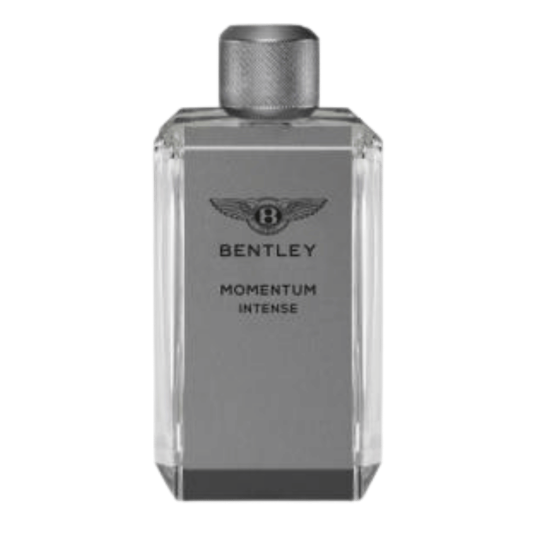 bentley momentum intense